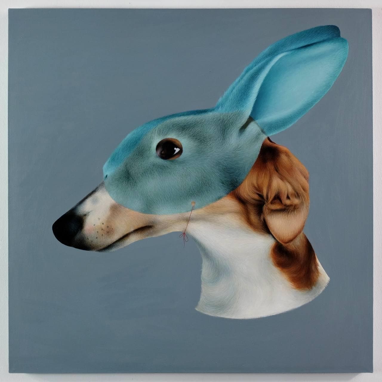 Дуальность 4