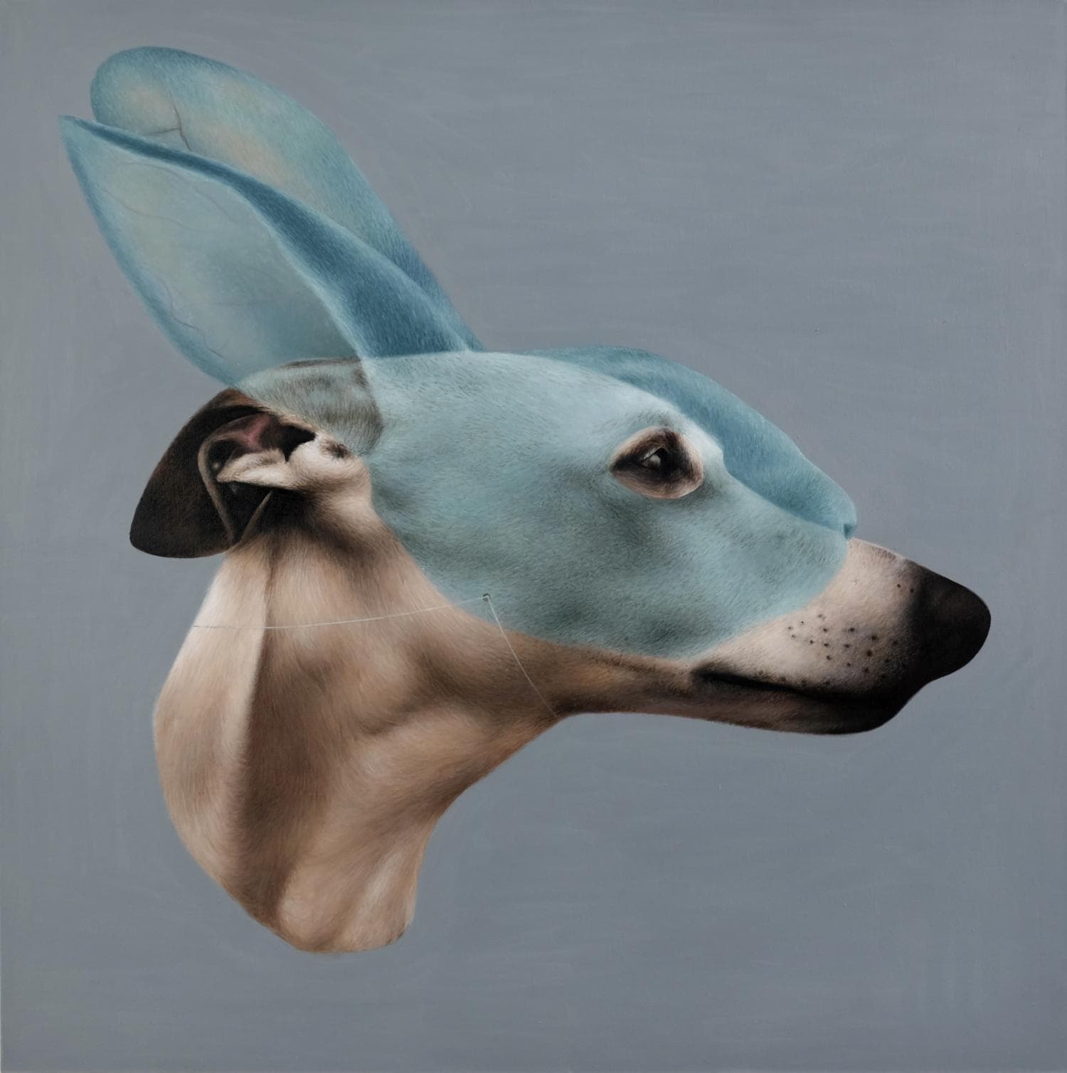 Дуальность