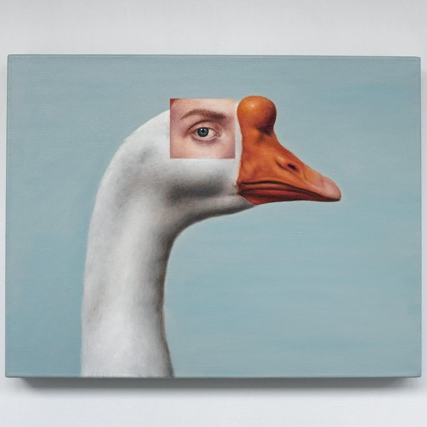 Глазами человека